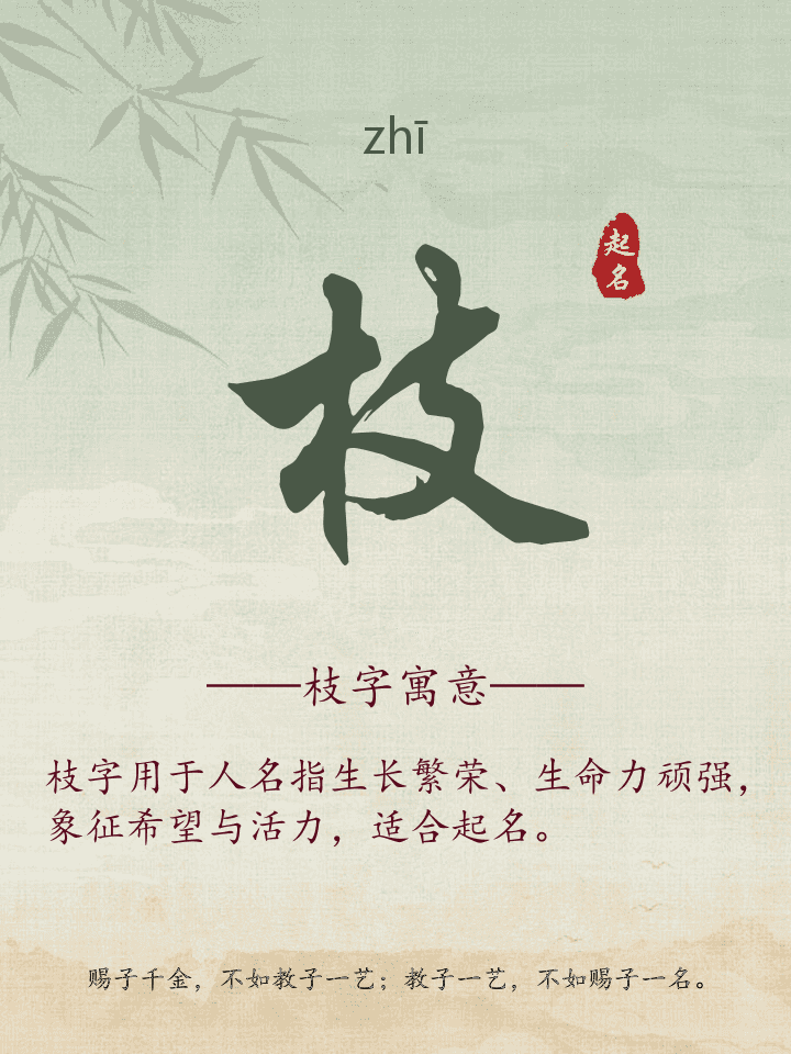枝字取名寓意详解