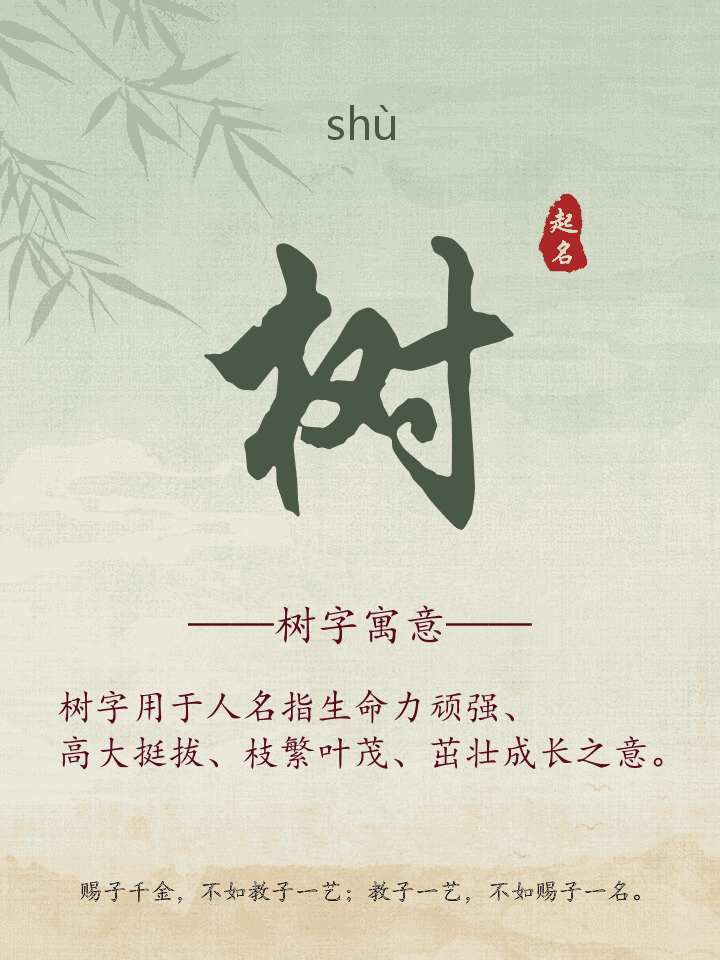 树字取名寓意详解