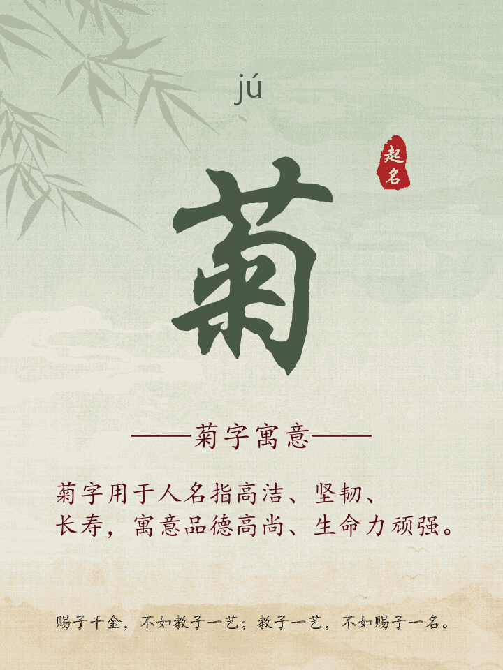 菊字取名寓意详解