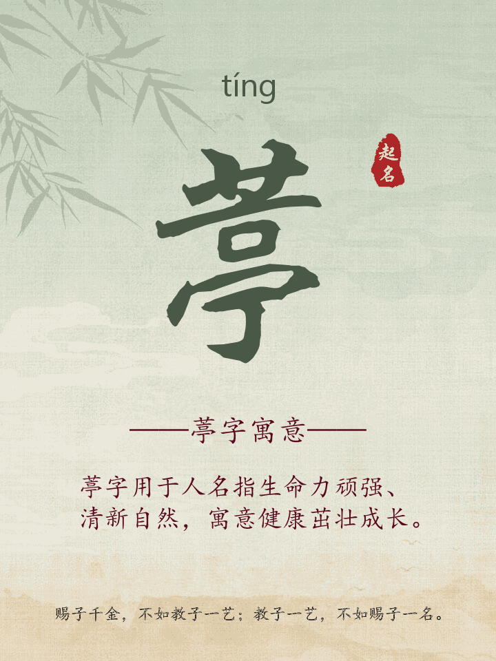 葶字取名寓意详解