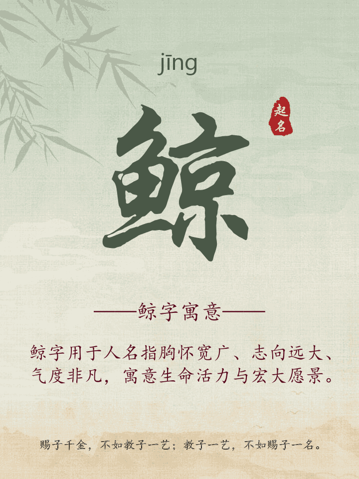 鲸字取名寓意详解